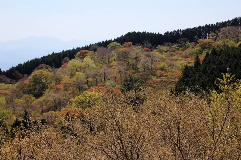 金剛山_003.jpg