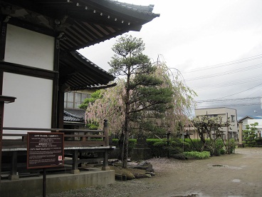 阿弥陀寺2.jpg