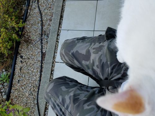 rblog-20181021190148-07.jpg