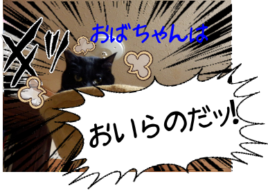 P4160009.png