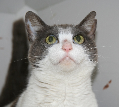 20120407ﾎｸﾞ04.jpg