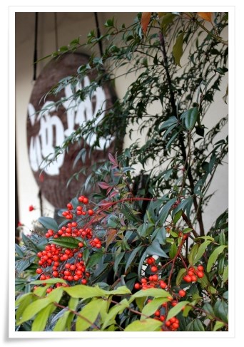 鶴仙渓-58 ゆげ街道-6 酒屋さん-2 13.11.16