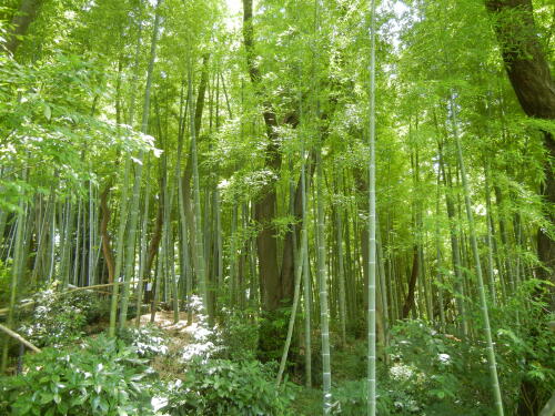 馬場花木園にて