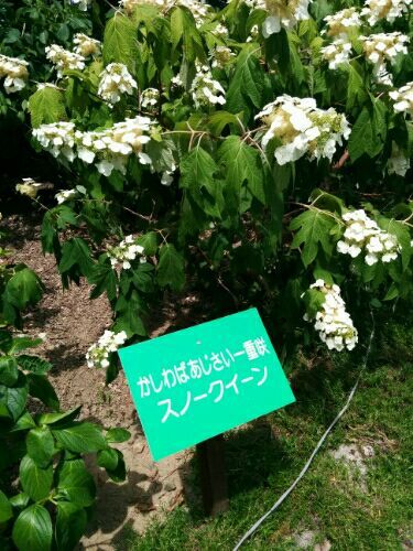rblog-20170706120201-02.jpg