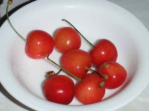 P621さくらんぼ.jpg