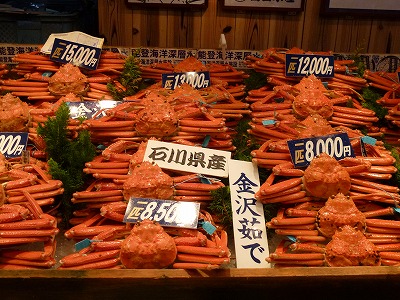 P1060211.jpg