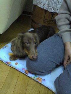060107.jpg