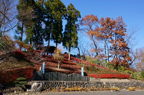 DSC07564.JPG