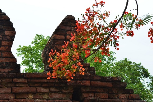 koma14tai.2013.5.17 090.jpg