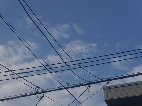 はれ