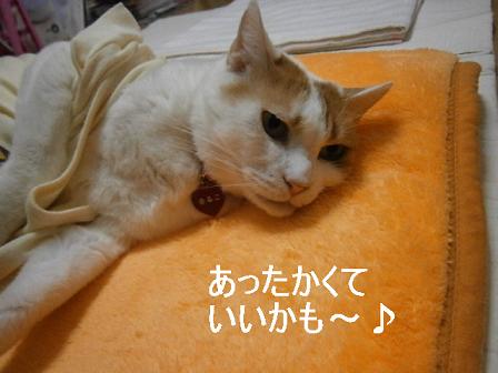 maru