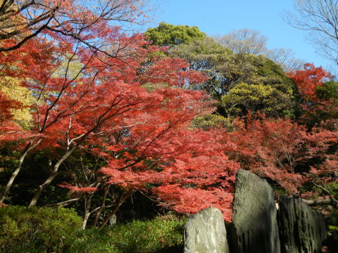 小石川後楽園