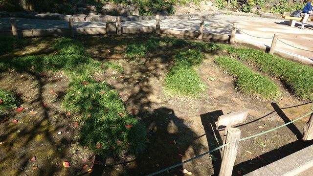 2015-11-03 13.42.30.jpg