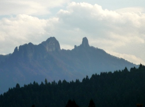 P1120096-1.JPG