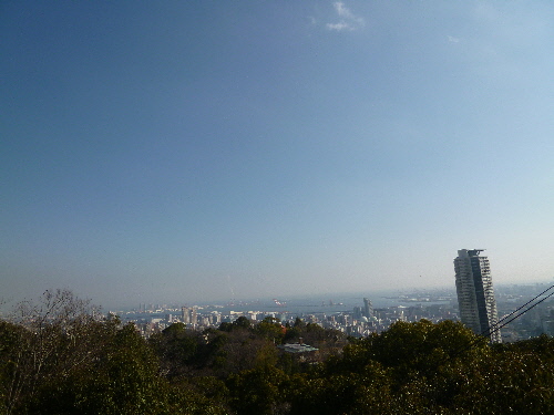 P1080538(1).JPG