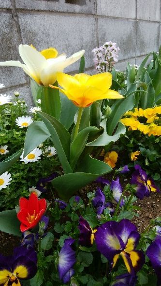 rblog-20180406234035-01.jpg