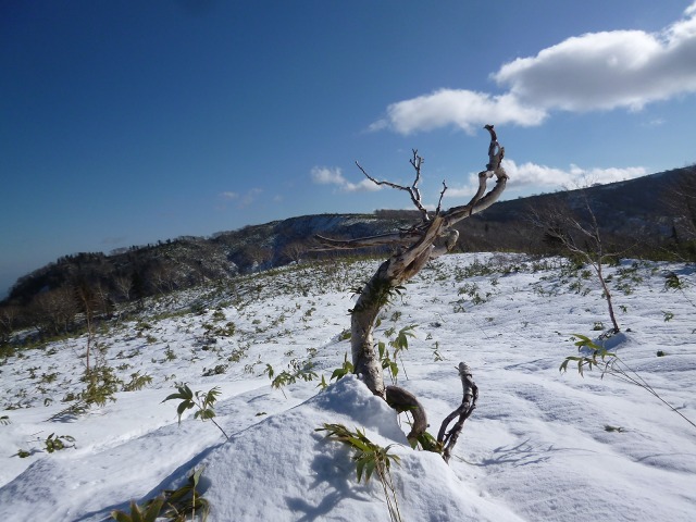 P1320177長尾山11：31.jpg