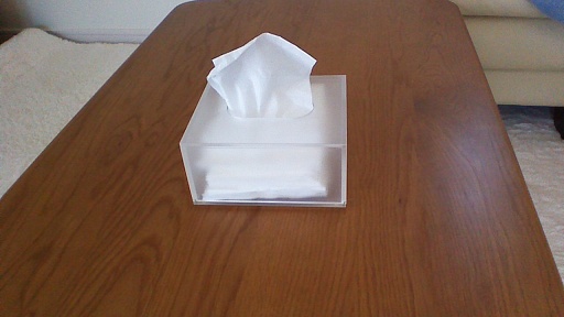 WIN_20150604_122156 100.jpg