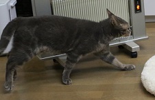 5DA_2367-3.jpg