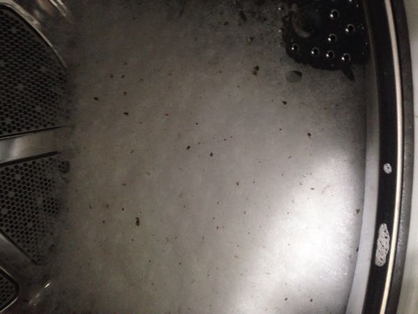 rblog-20160426080302-01.jpg