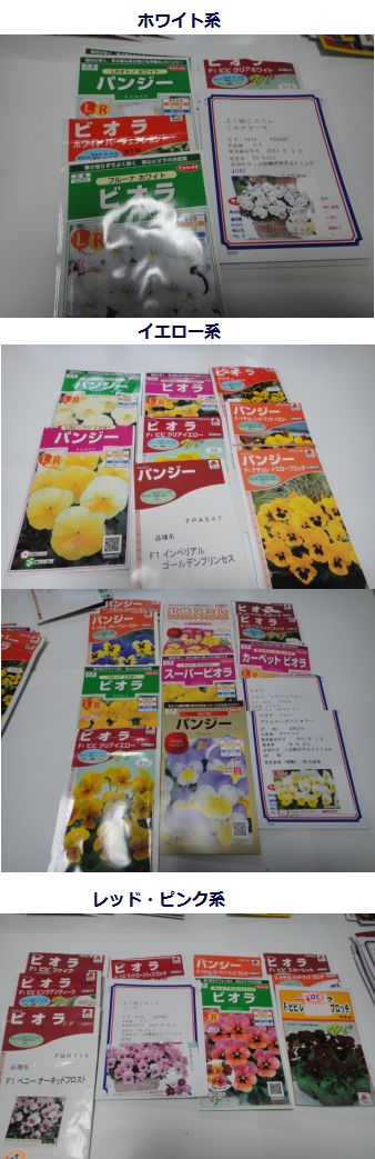 カラー別に分類