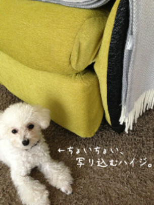 IMG_4952.png