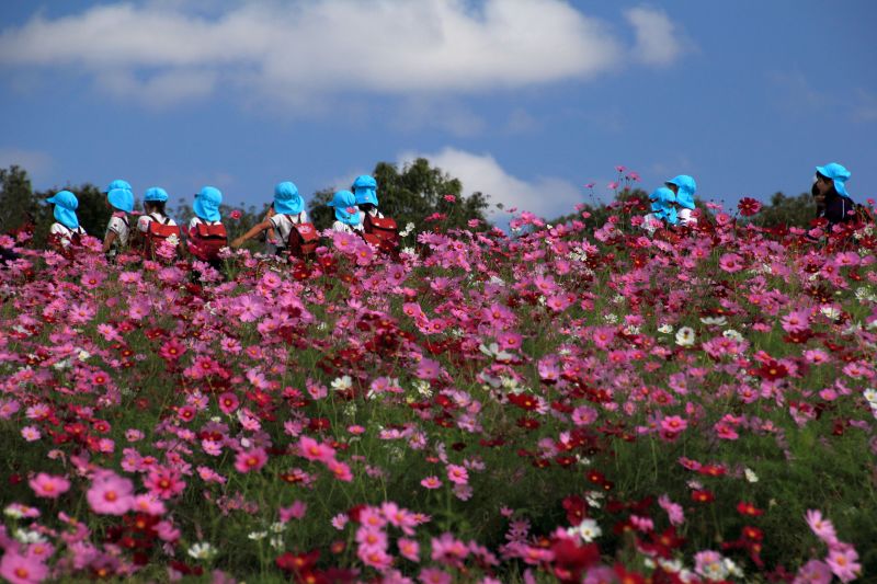 万博記念公園_003.jpg
