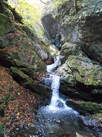 DSCN0736.jpg
