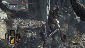 DS201.jpg