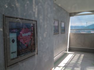 IMG_1282.jpg