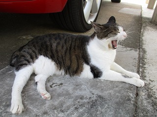 IMG_6916ss.jpg