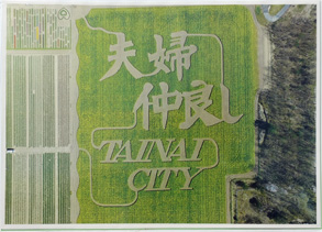 新潟392.jpg