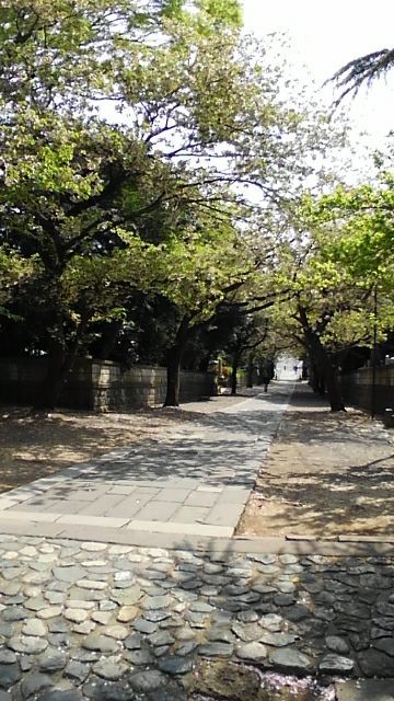 rblog-20180413145932-05.jpg