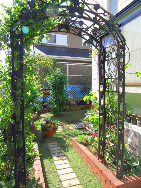 IMG_6837.JPG