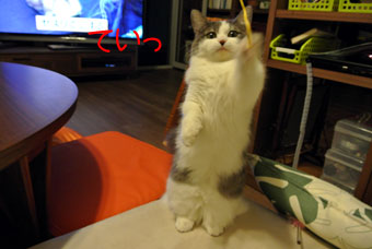 mumu7.jpg