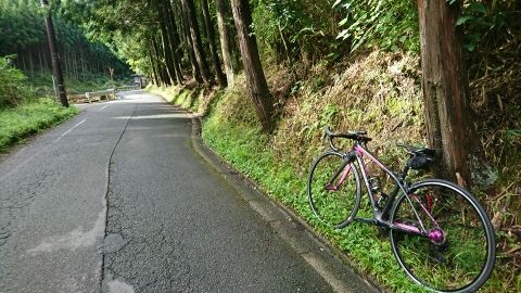 新着記事一覧  ぽた＊くら - 楽天ブログ