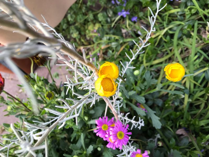 rblog-20190324173608-09.jpg