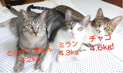 20121007_2.jpg