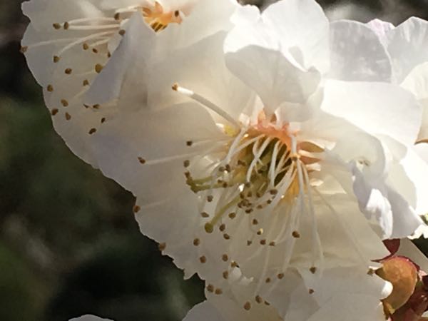 rblog-20180320234158-02.jpg