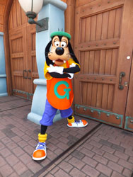 GoofyGR