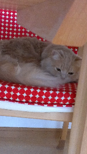 rblog-20130411154904-00.png