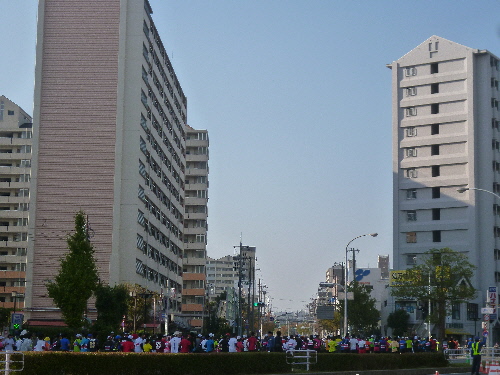 P1130980(1).JPG