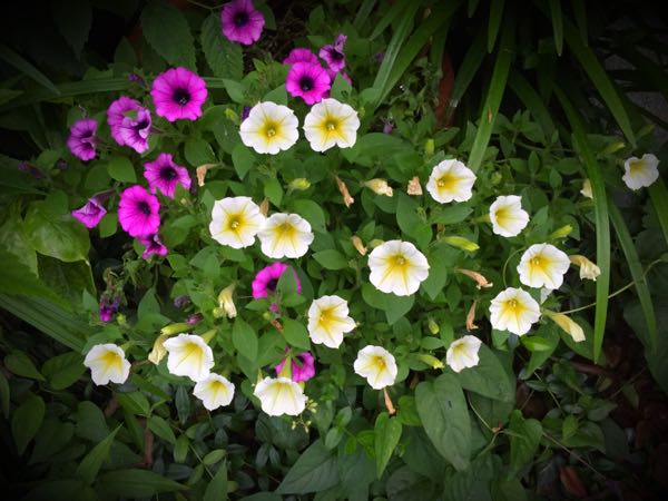 rblog-20160627195701-02.jpg