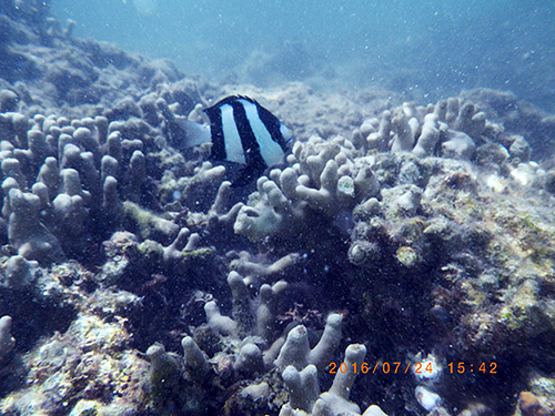 RIMG0944.jpg