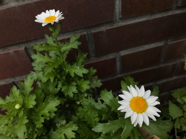 rblog-20181108170243-04.jpg