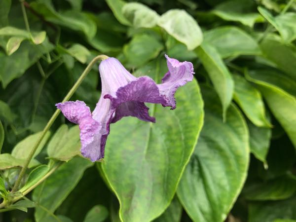 rblog-20180628172308-07.jpg