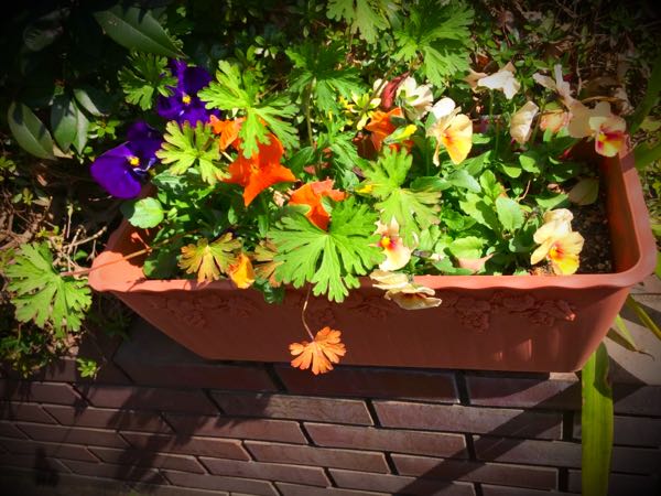 rblog-20150331195834-04.jpg