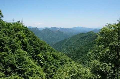 DSC09152.JPG
