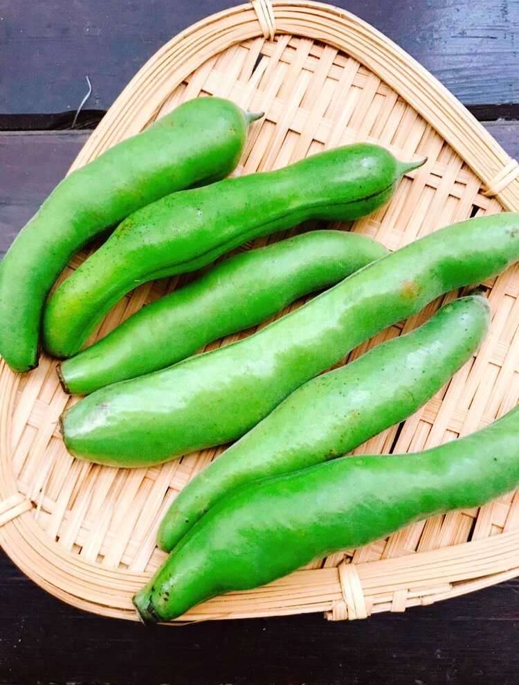 カテゴリ未分類 野菜ソムリエコミュニティおおさか 楽天ブログ