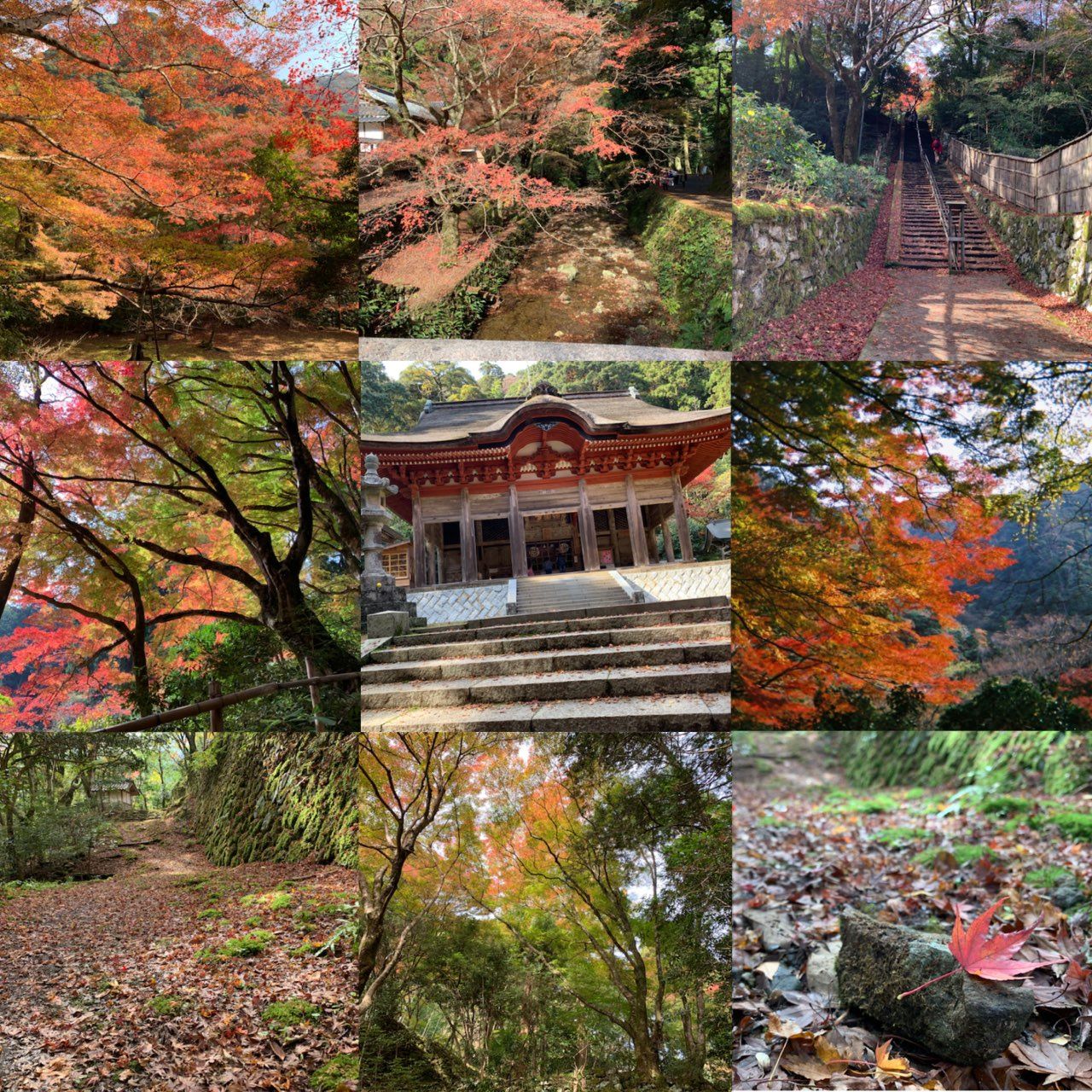 鰐淵寺 紅葉編 なにわ一水のだんだんブログ 楽天ブログ